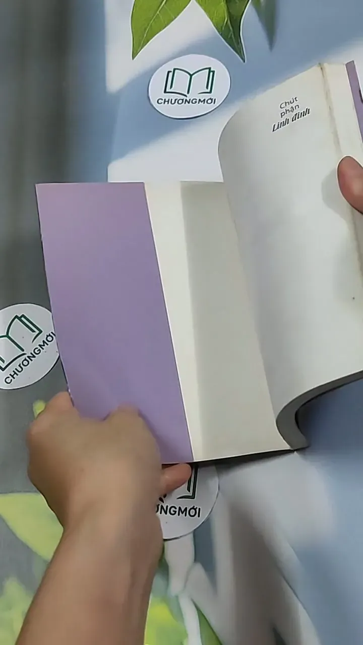 Chúc phận linh đinh - Hồ Biểu Chánh 698619