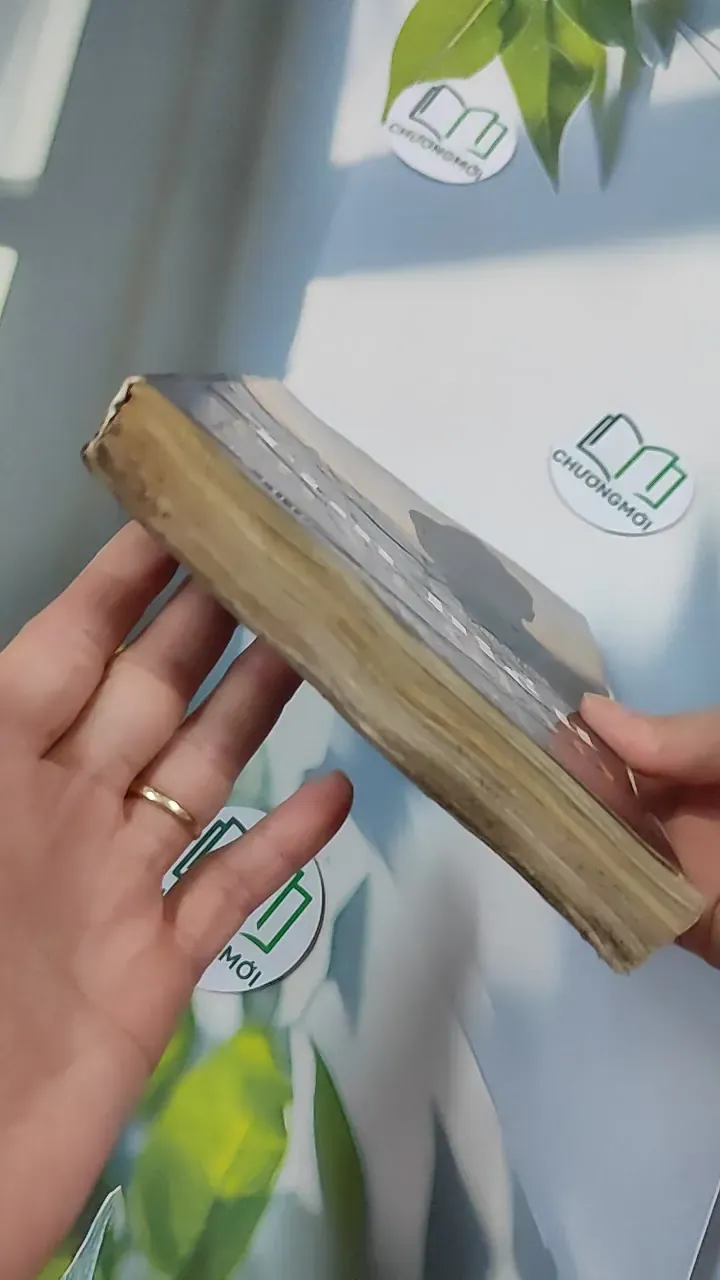 Tìm Hiểu Phật Giáo - Mahā Thongkham Medhivongs 776125