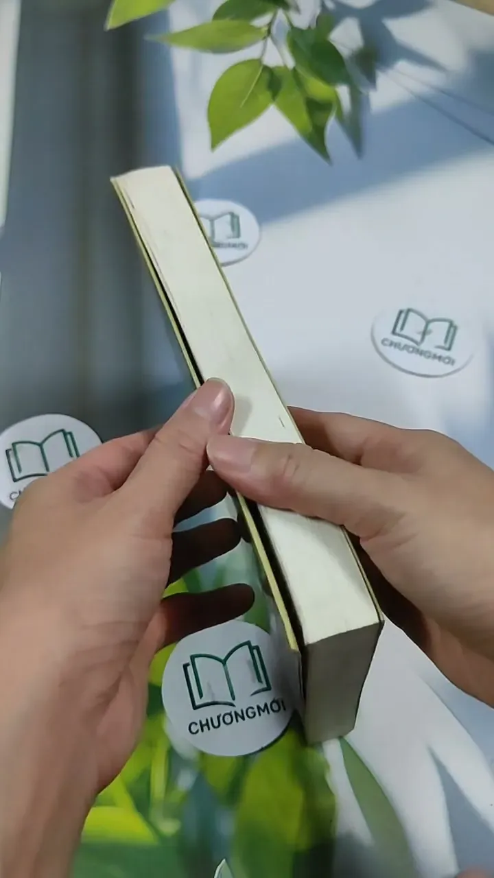 Lật Từng Mảnh Ghép - Trương Tuyết Mai 705691