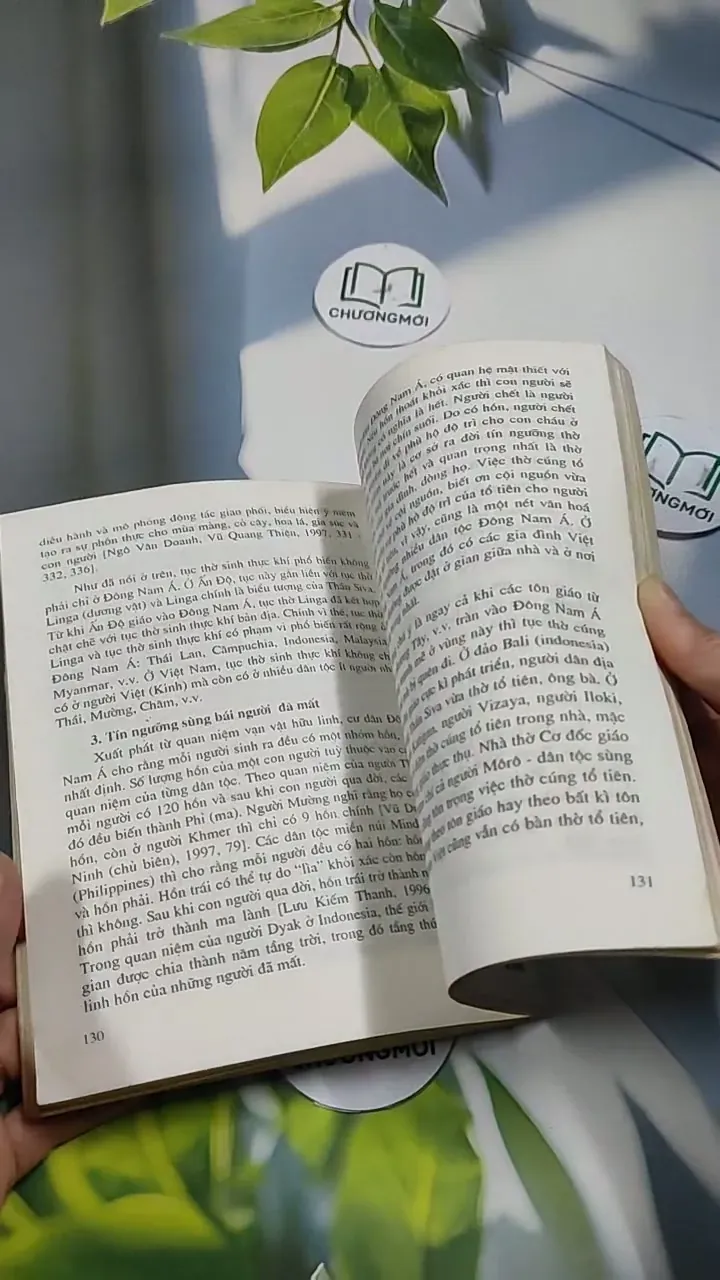 Văn Hóa Đông Nam Á - Mai Ngọc Chừ 707261