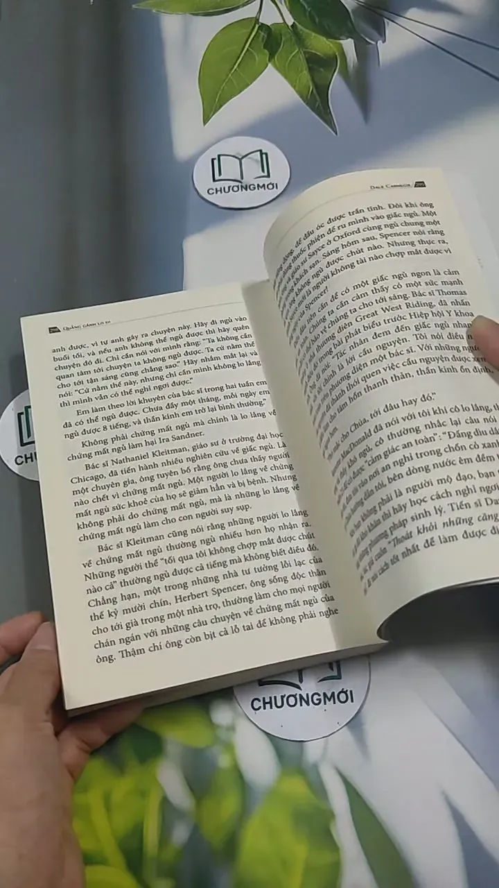 Quẳng Gánh Lo Đi Vui Sống Trong Mọi Hoàn Cảnh - Dale Carnegie 715602