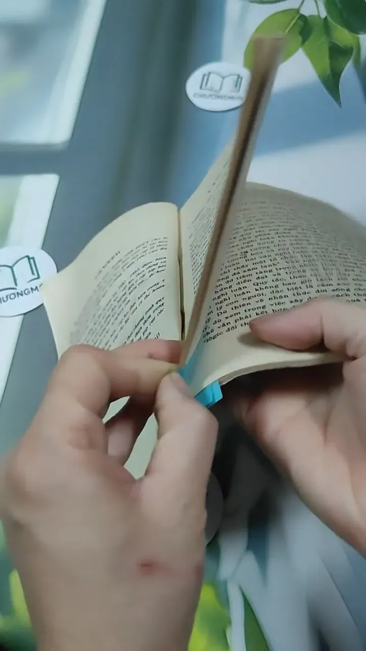 Một Số Vấn Đề Về Văn Nghị Luận Ở Cấp Hai - GS Nguyễn Thanh Hùng 727338