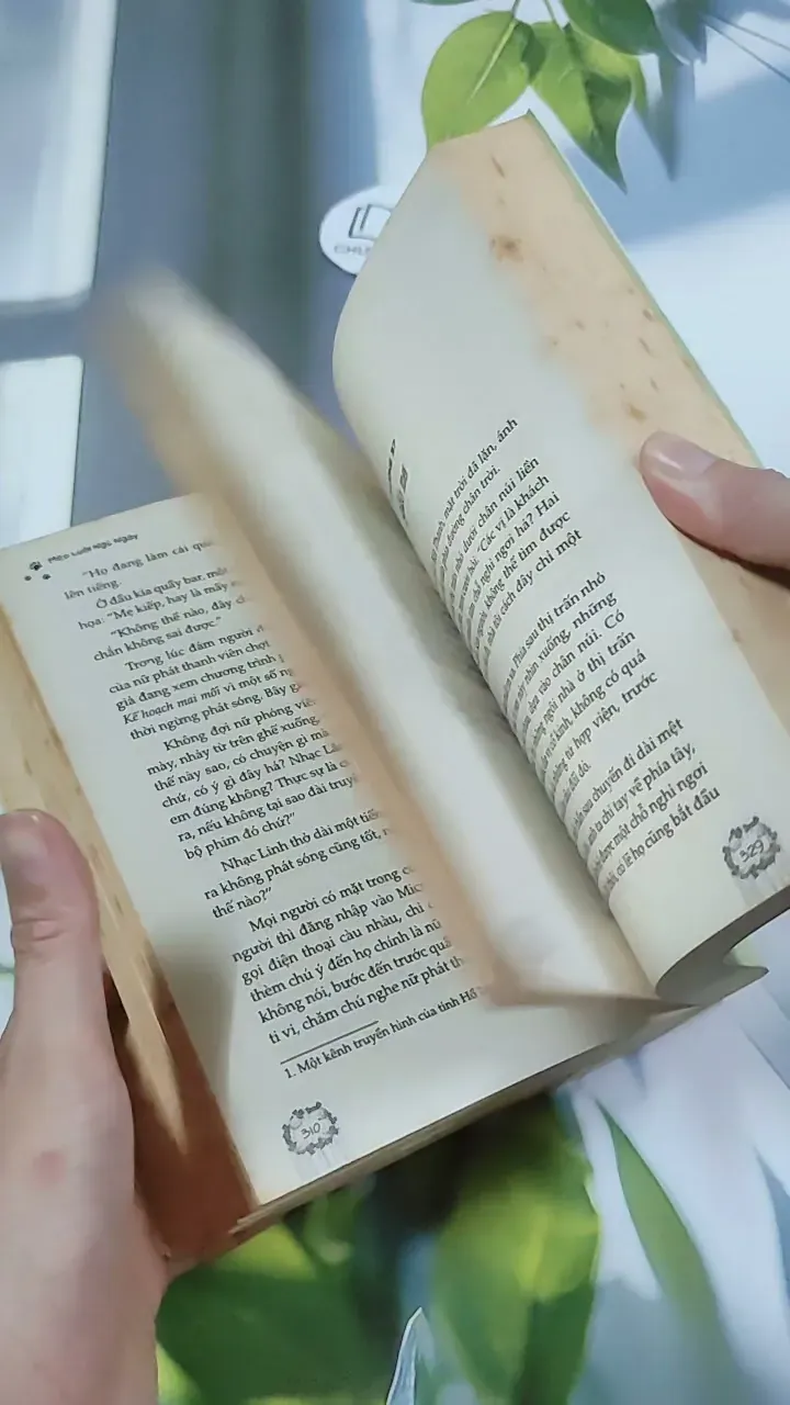 Hàng Đã Nhận, Miễn Trả Lại! - Mèo Lười Ngủ Ngày 744727