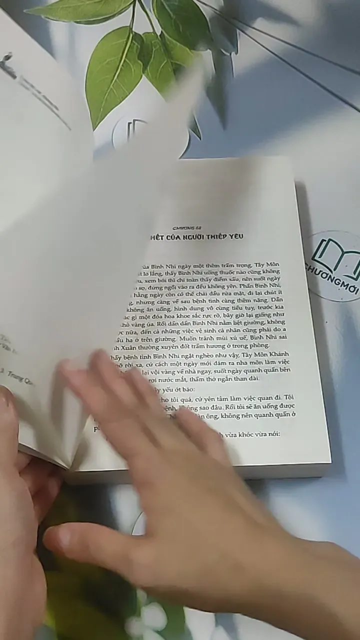 Kim Bình Mai 2 688581