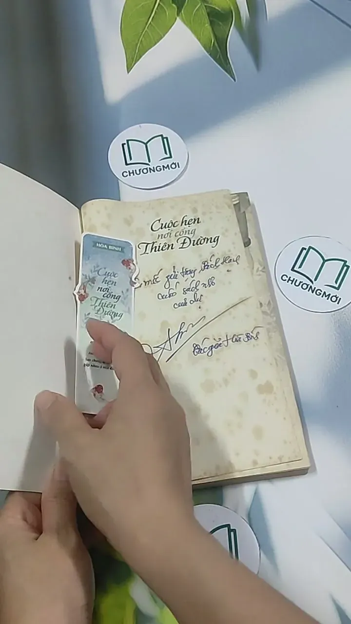 Cuộc hẹn nơi cổng thiên đường - Hòa Bình 694985