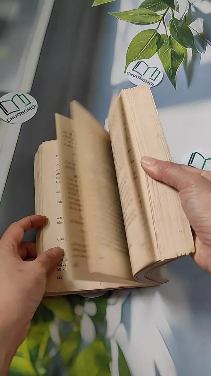 [XƯA] Đỉnh Đồi (1994) - Irwin Shaw 776066