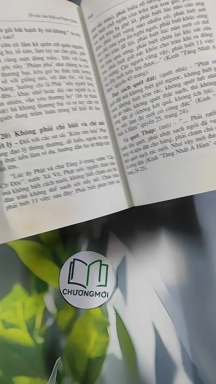 Di cảo của Nhà sư Thiện Chiếu - Thích Như Niệm 776212