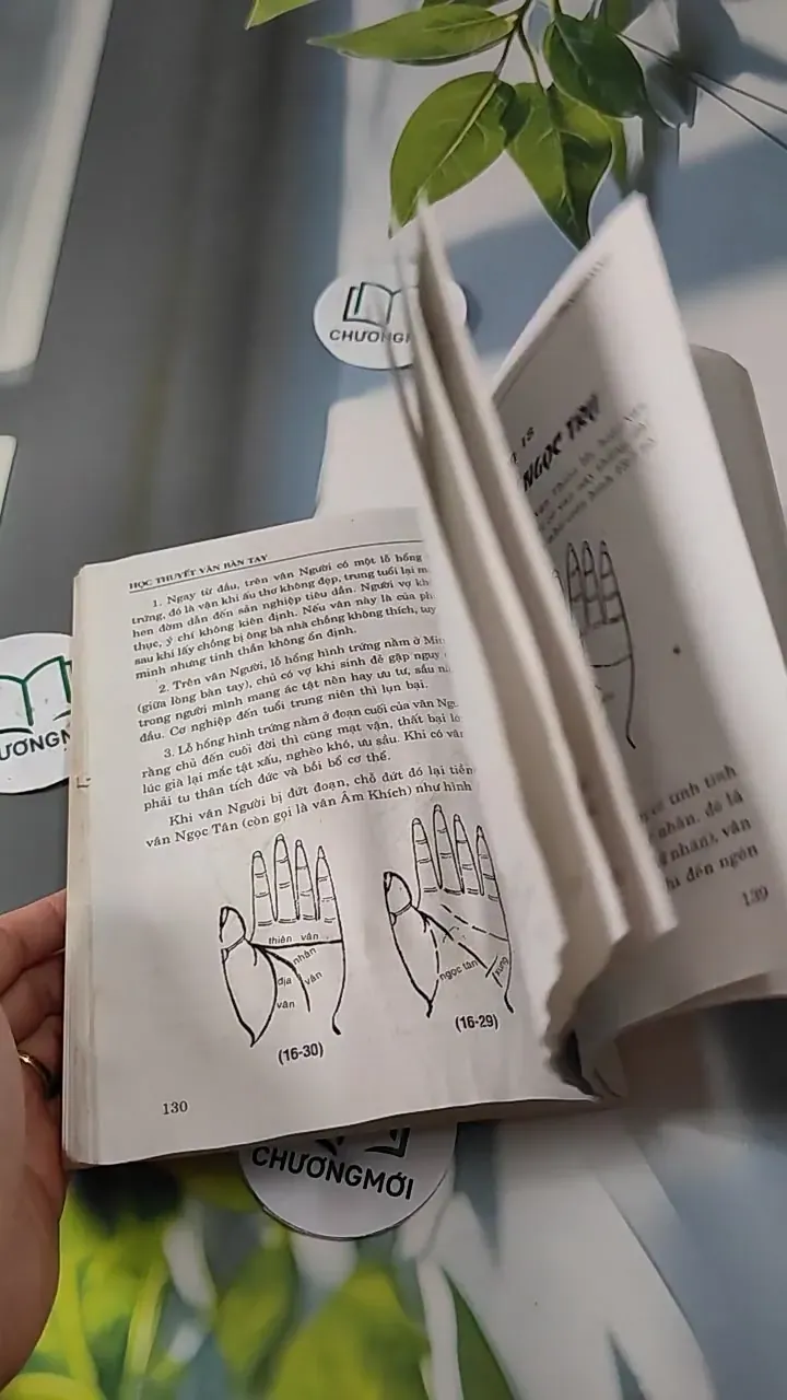 Học Thuyết Vân Bàn Tay Của Gia Cát Khổng Minh - Trình Hoành 727277