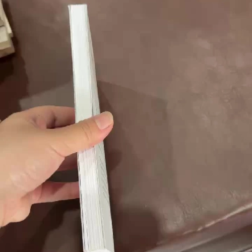 Nam Phương – Hoàng Hậu Cuối Cùng Của Việt Nam | Sách Lịch Sử – Nhân Vật Có Thật- K4