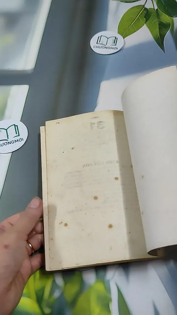 Tử Vi Tây Phương 727337