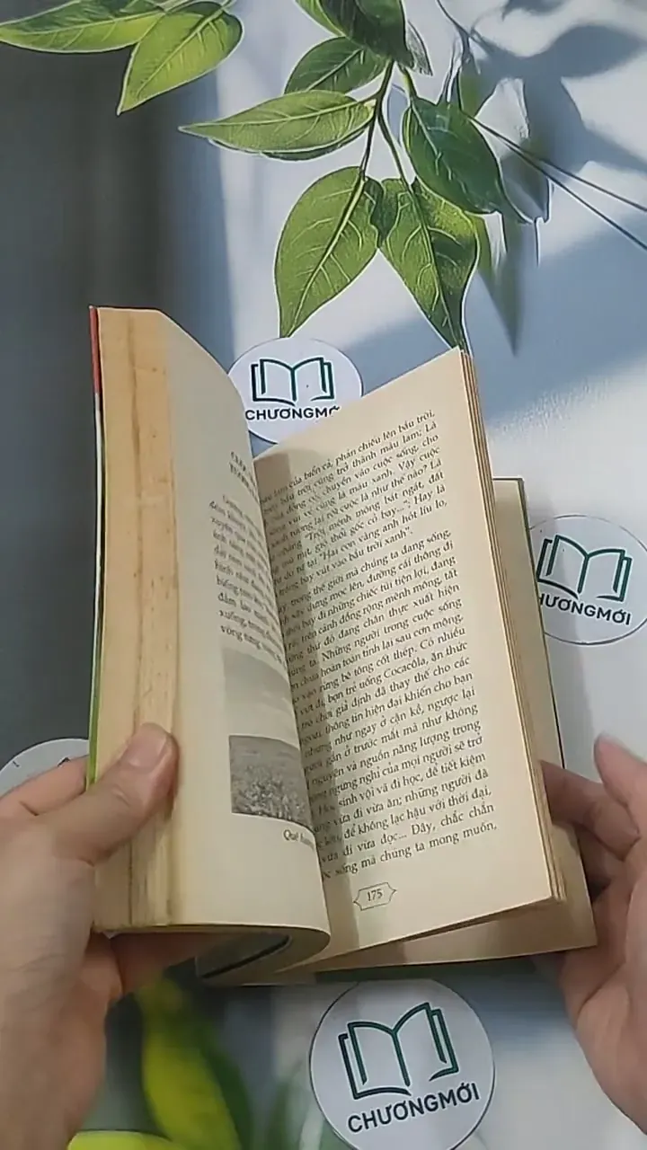 Xây dựng cuộc sống xanh -  Kim Phụng 694915