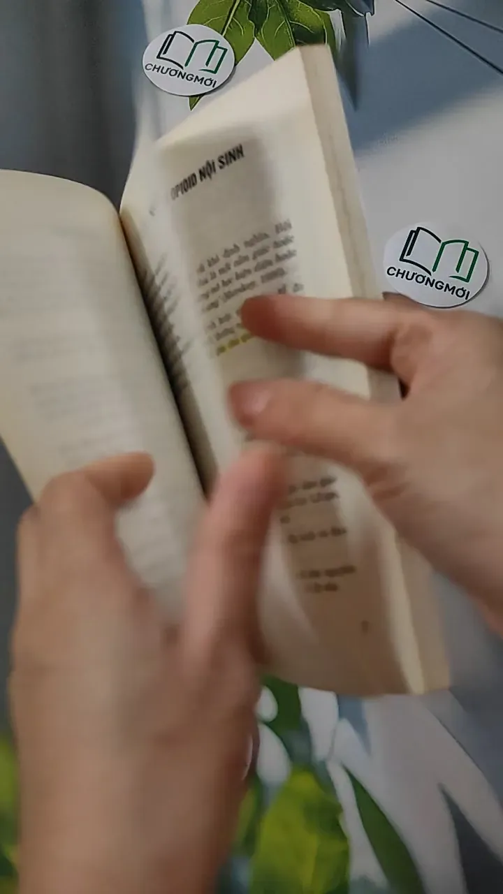 Các Thuốc Giảm Đau - Chống Viêm - PGS. TS. Đào Văn Phan 780807