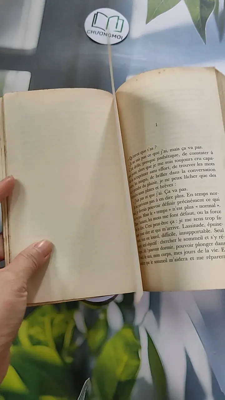 [MIỄN PHÍ BỌC SÁCH] Tomber sept fois, se relever huit - Philippe Labro 754471
