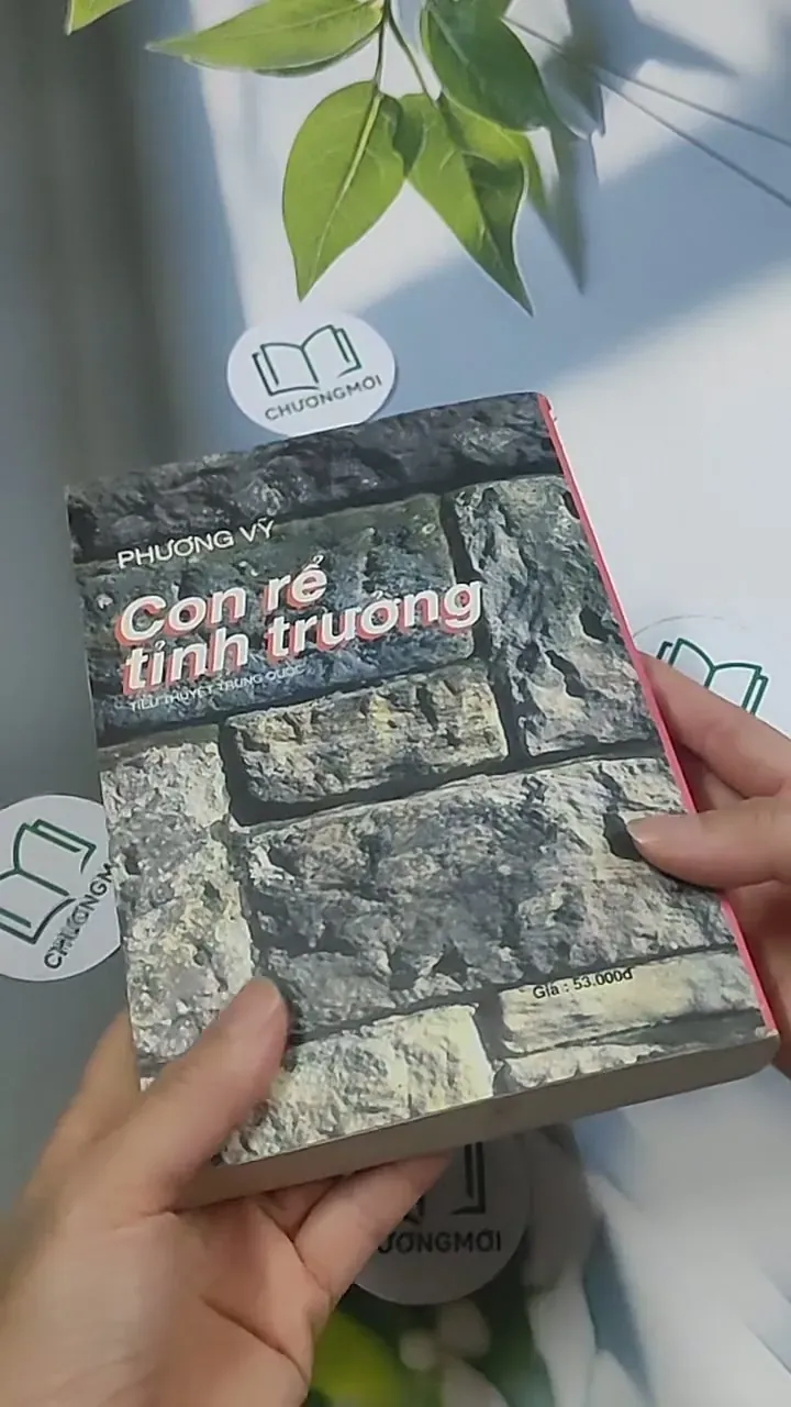 Con rể tỉnh trưởng - Phương Vỹ 695009