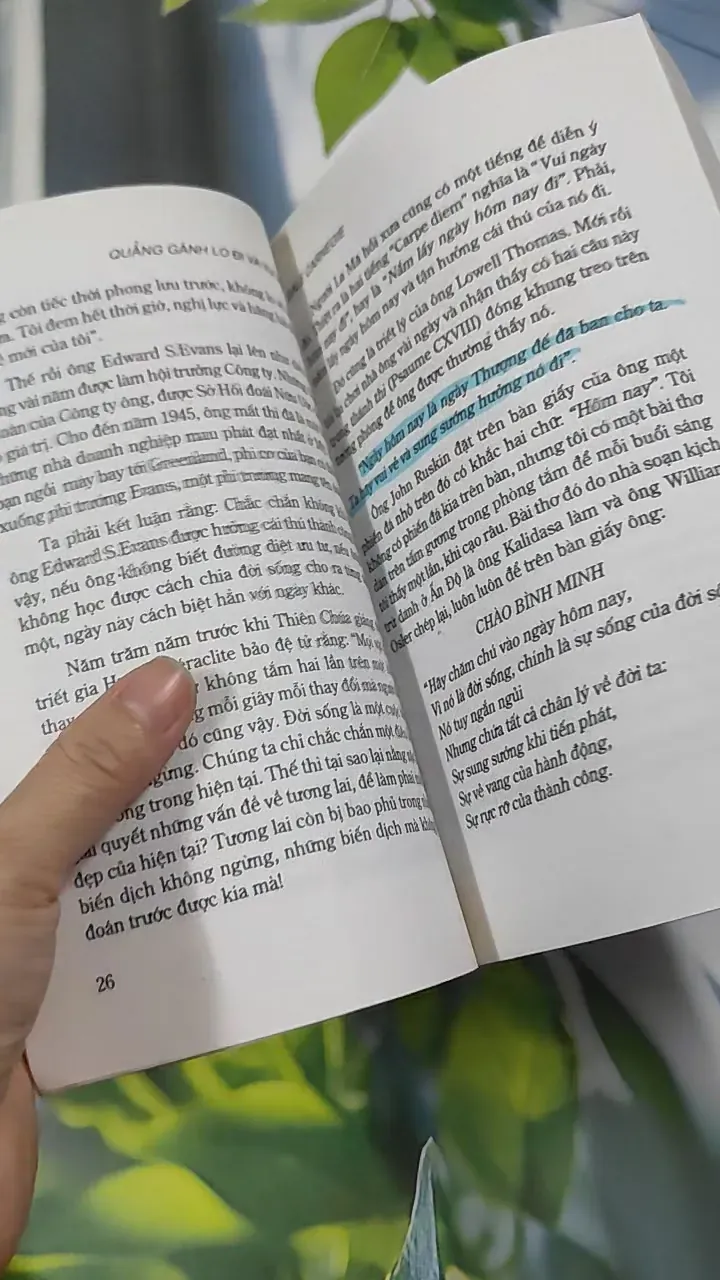Quẳng Gánh Lo Đi Và Vui Sống - Dale Carnegie 787056