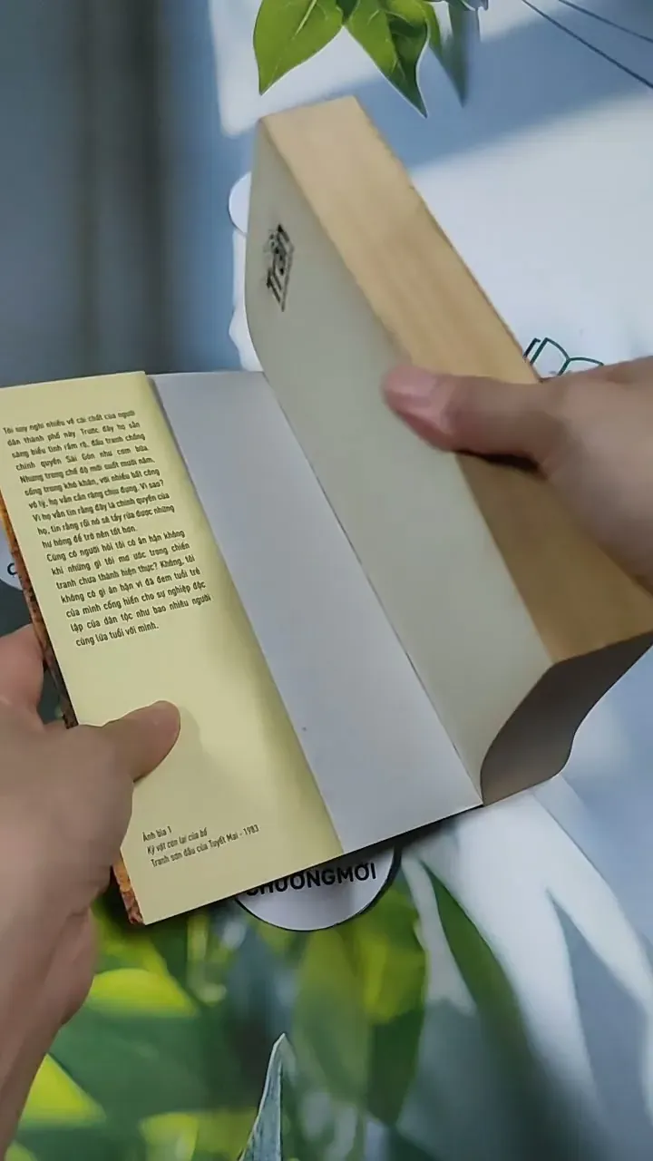 Đường Trần: Ngọn Lửa Không Bao Giờ Tắt - Trần Tố Nga 705659