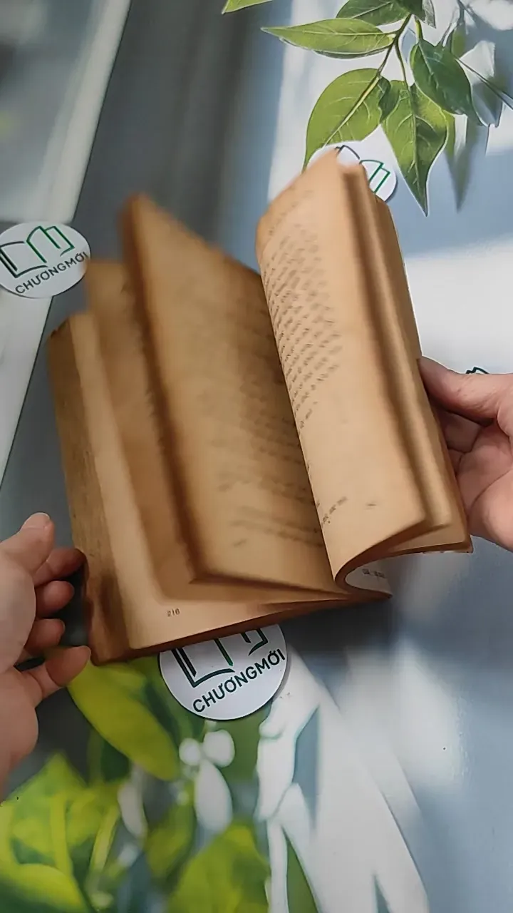 [XƯA] Lỗi Lầm (1991) - Đỗ Thị Thanh Vân 776065