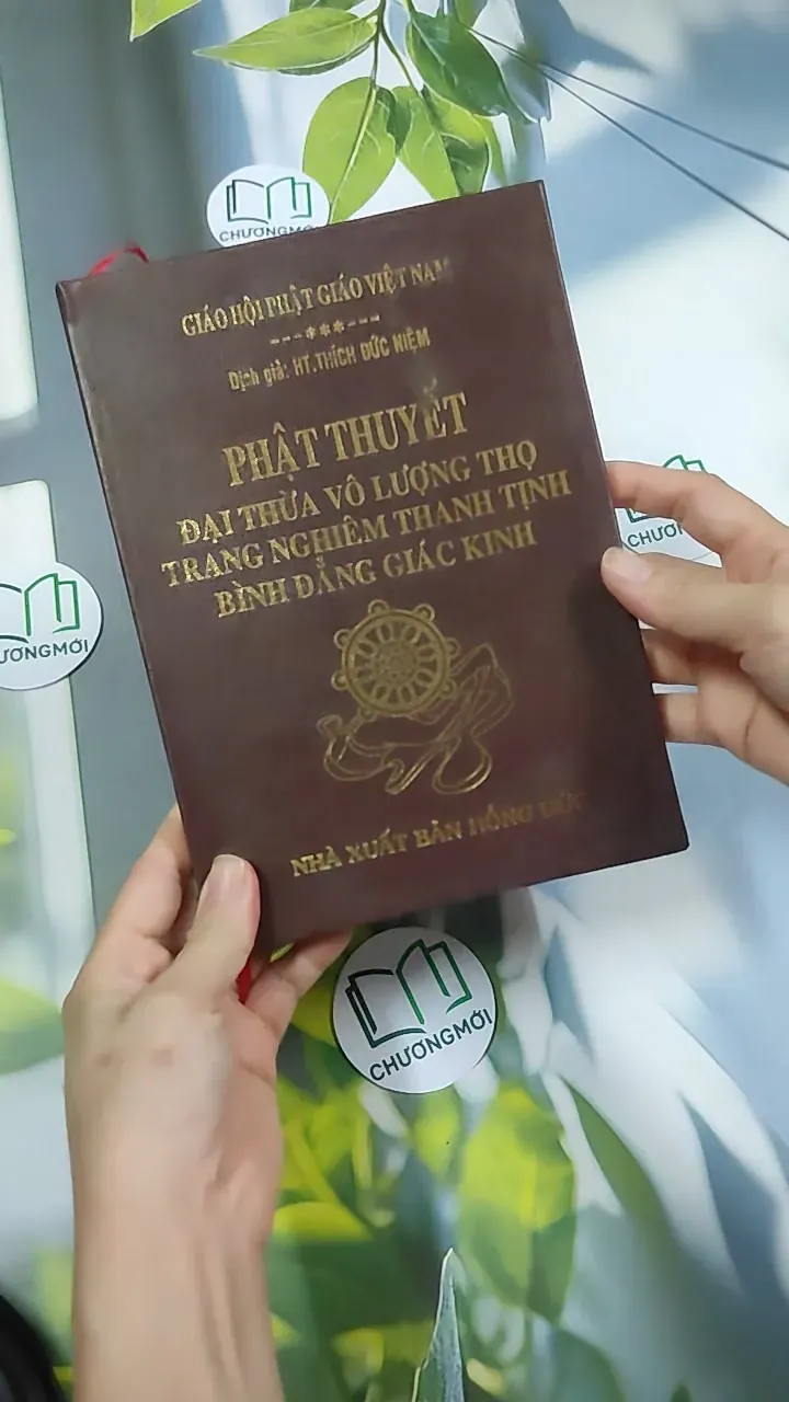 Đại Thừa Vô Lượng Thọ Trang Nghiêm Thanh Tịnh Bình Đẳng Giác Kinh - HT. Thích Đức Niệm 750812