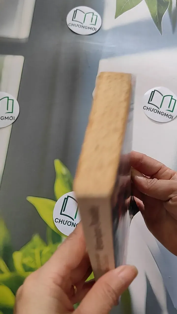 Ce que je sais de Vera Candida - Véronique Ovaldé 754470