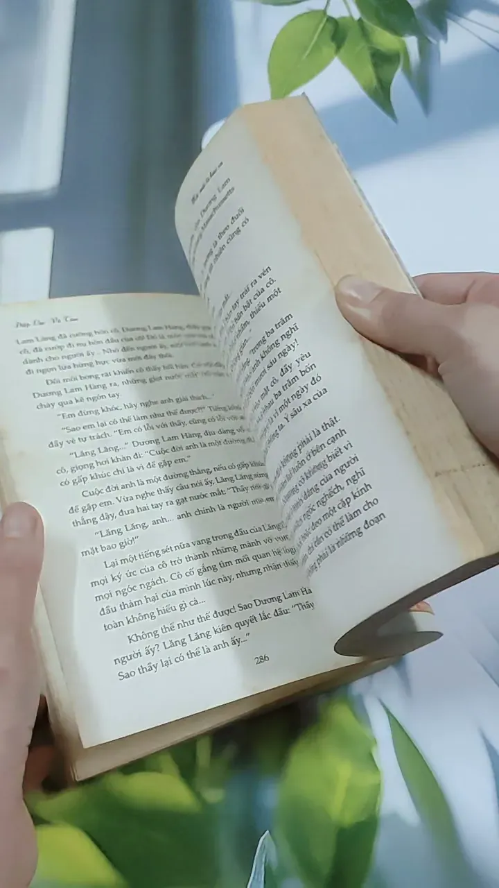 Mãi Mãi Là Bao Xa - Diệp Lạc Vô Tâm 744748