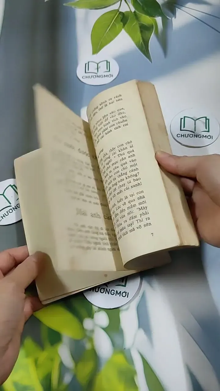 Chuyện Cấm Cười - Diệp Phương Huyền 713902