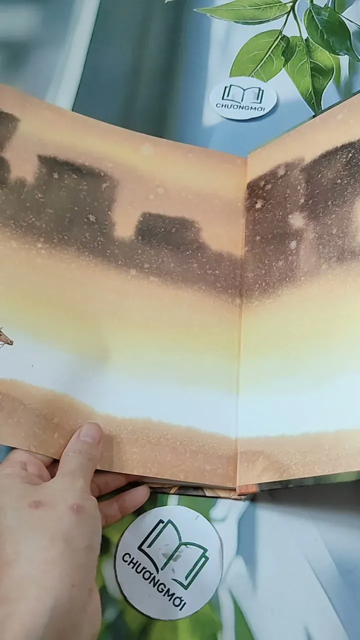 [Tặng nẹp góc] Truyện thiếu nhi Hàn Quốc: Moyamo Anu 22 -  모야모 아누와: 모기는 어떻게 생겨났는가;. 보여요?  732014