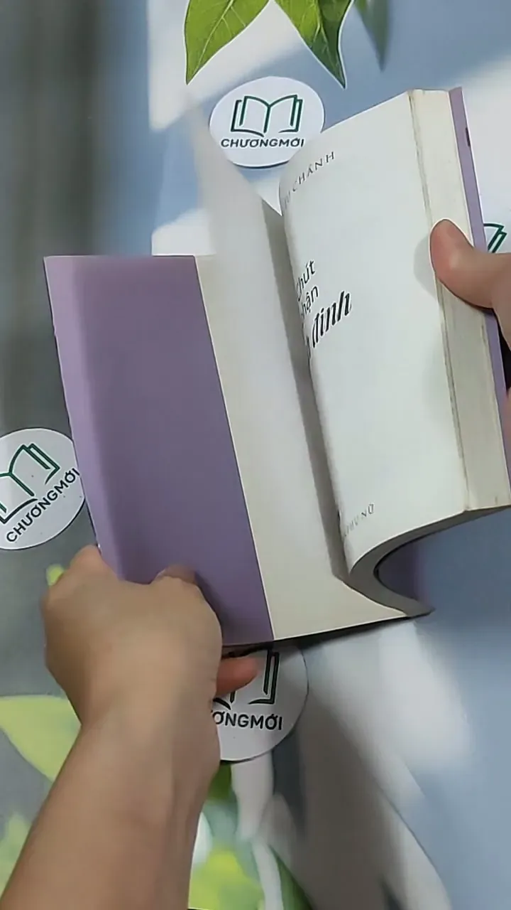 Chúc phận linh đinh - Hồ Biểu Chánh 698619