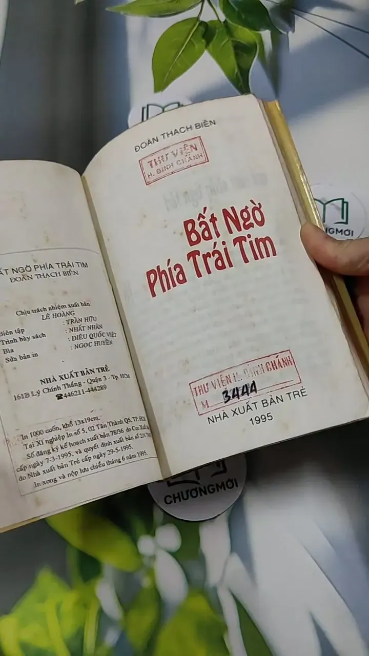 Bất Ngờ Phía Trái Tim - Đoàn Thạch Biền 713853
