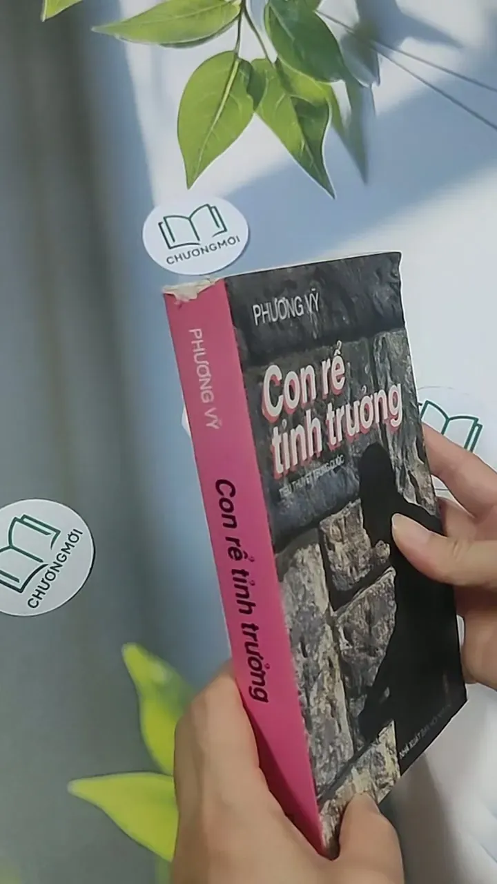 Con rể tỉnh trưởng - Phương Vỹ 695009