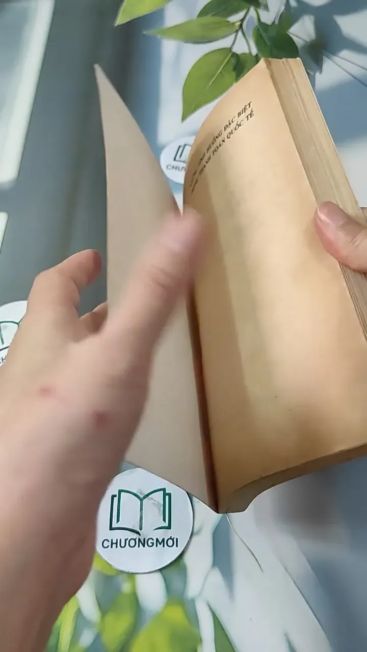 Những Tình Huống Đặc Biệt Trong Thanh Toán Quốc Tế - Nguyễn Ninh Kiều 727245