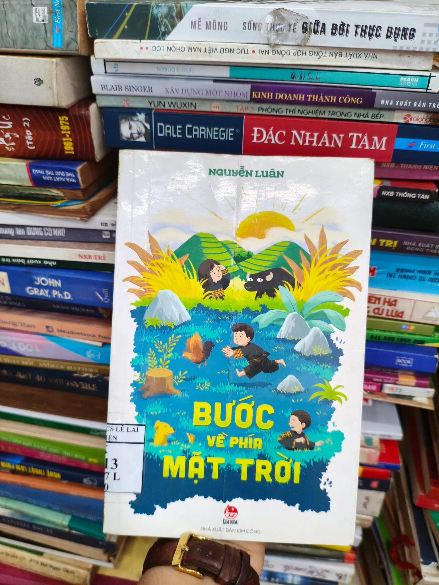 Bước về phía mắt trời 🌱