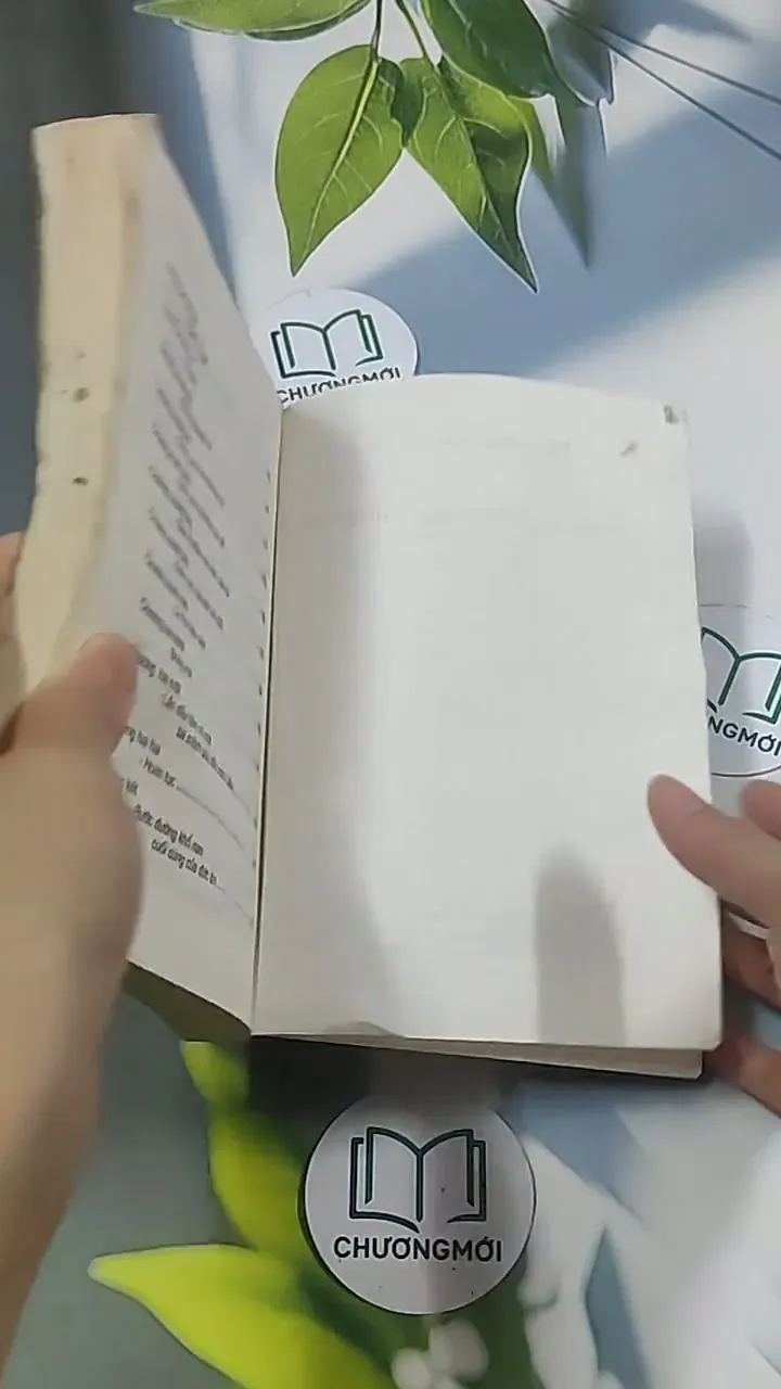 Mối tình hoang dã - Trần Huy Quang 695002