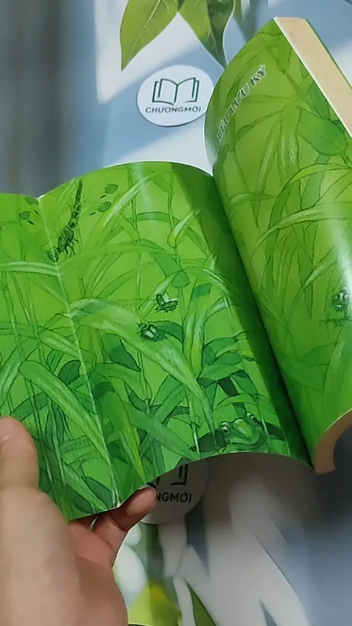 Dế Mèn phiêu lưu ký 698592