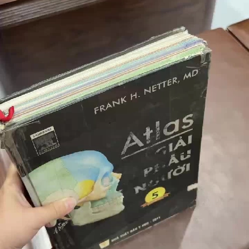Atlas Giải Phẫu Người (Atlas of Human Anatomy) – Ấn bản lần 5 - K3