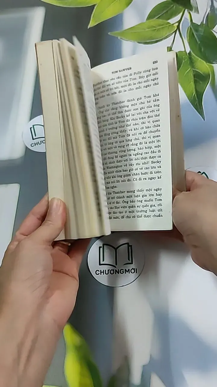 Những Cuộc Phiêu Lưu Của Tom Sawyer 604591