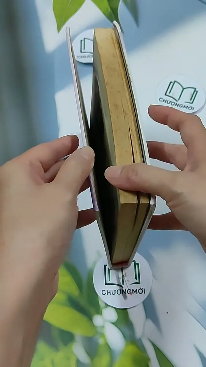 Thiếu Tướng Ế Vợ - Tuỳ Hầu Châu 703157