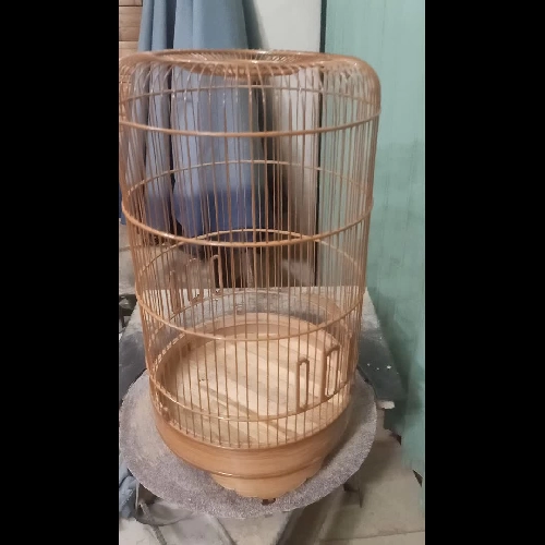 lồng chim cho ốc mít sdd 