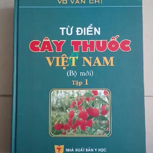 Từ Điển Cây Thuốc Việt Nam (Bộ 2 Tập) - Võ Văn Chi