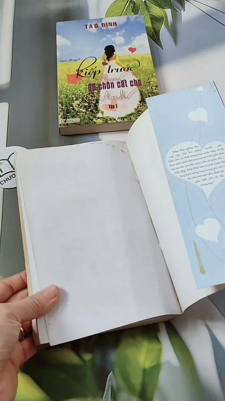 Bộ Kiếp Trước Em Đã Chôn Cất Cho Anh - Tào Đình 744693