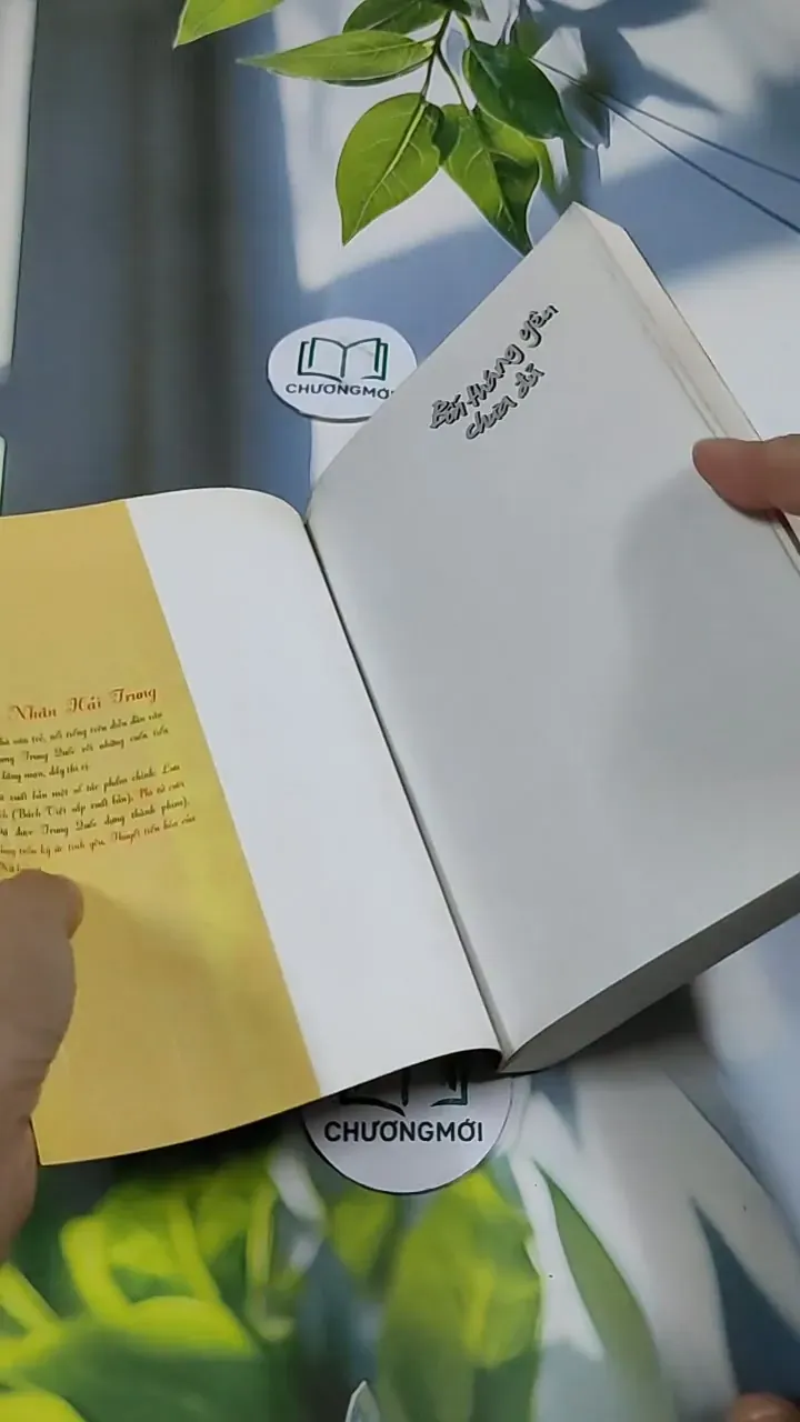 Bốn Tháng Yêu Chưa Đủ - Nhân Hải Trung 705722