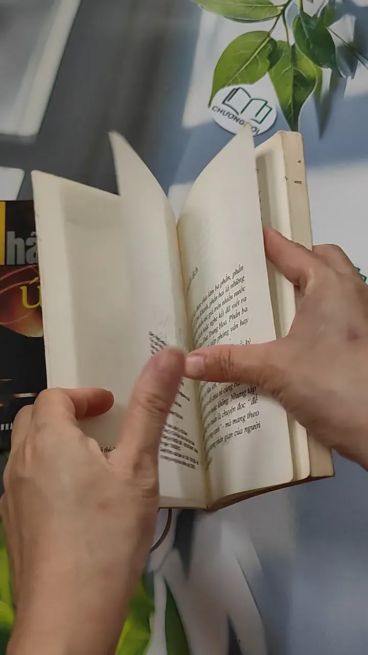 Combo: Nhân Quả Báo Ứng, Báo Ứng Hiện Đời 776102