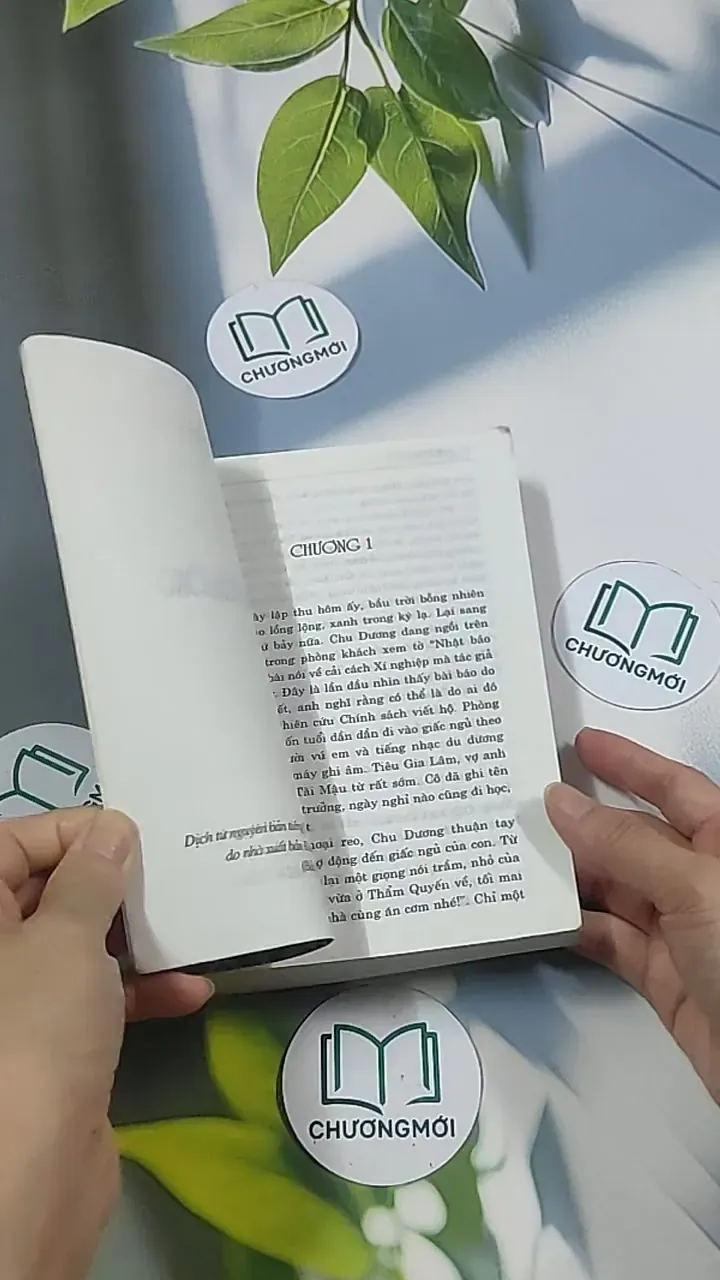 Con rể tỉnh trưởng - Phương Vỹ 695009