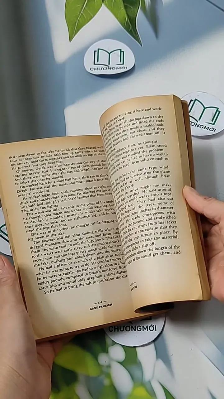 The River - Gary Paulsen 703097