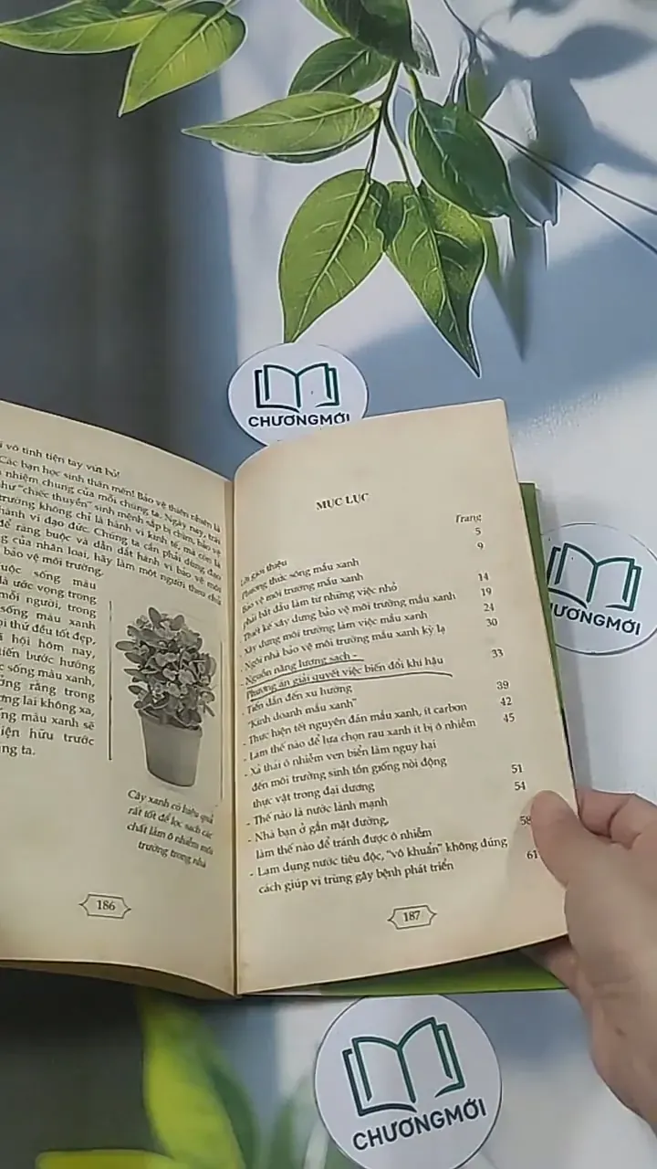 Xây dựng cuộc sống xanh -  Kim Phụng 694915