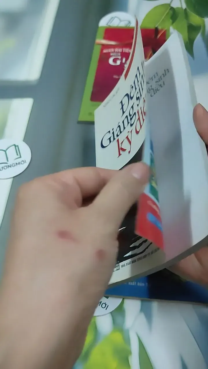 Combo Hạt Giống Tâm Hồn Quà Tặng Cuộc Sống: Giáng Sinh 727340