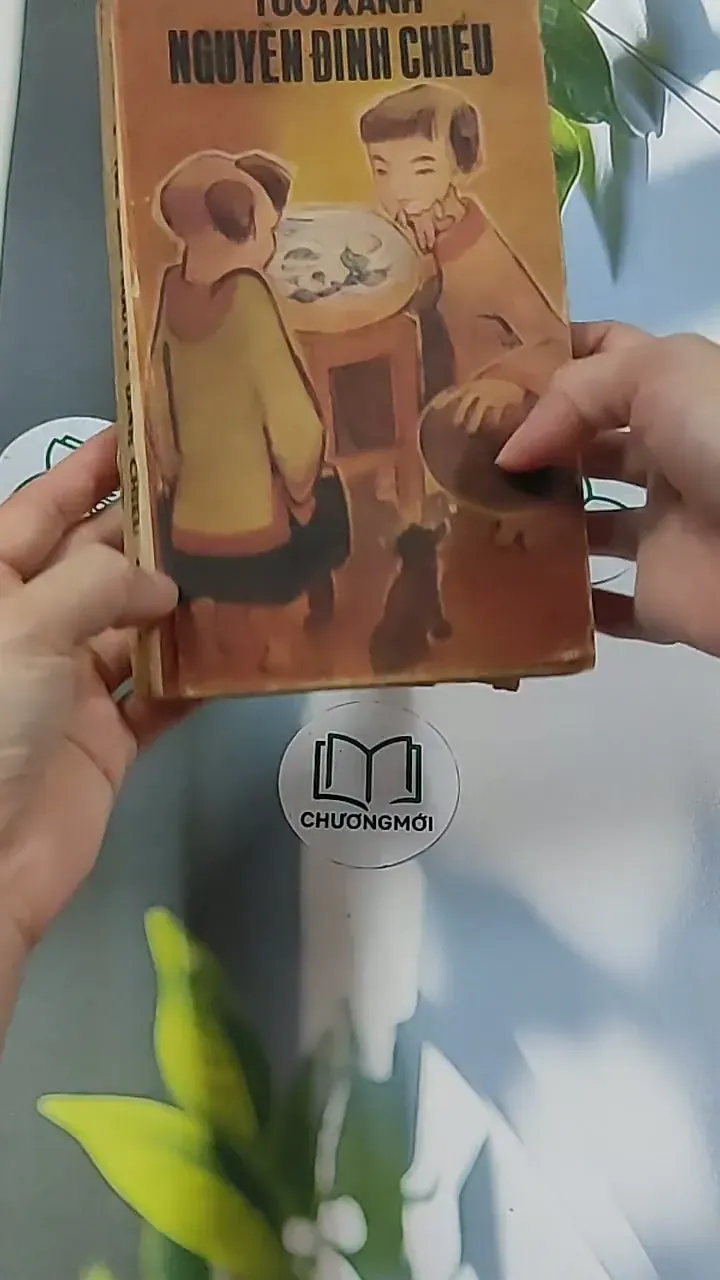 Tuổi Xanh Nguyễn Đình Chiểu (1987) - Thái Vũ 674974