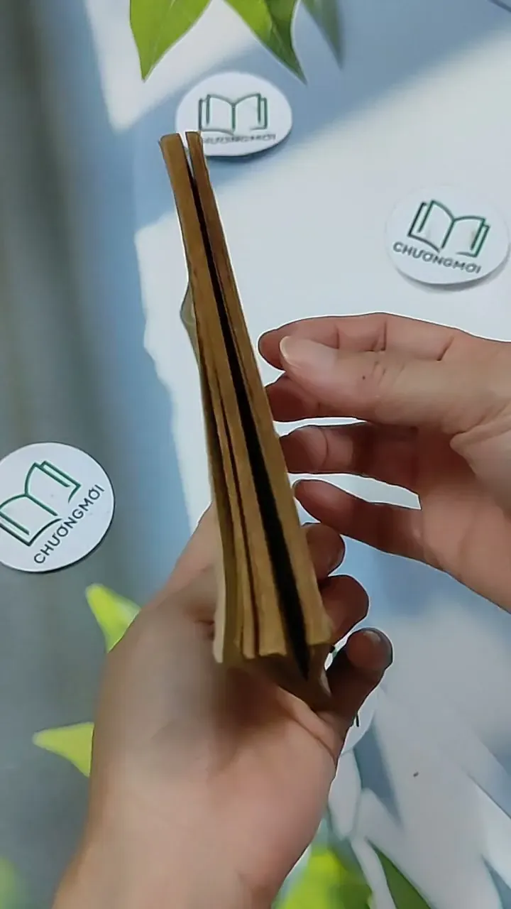 Cô Bé Hoả Tinh - Phượng Duy 703147