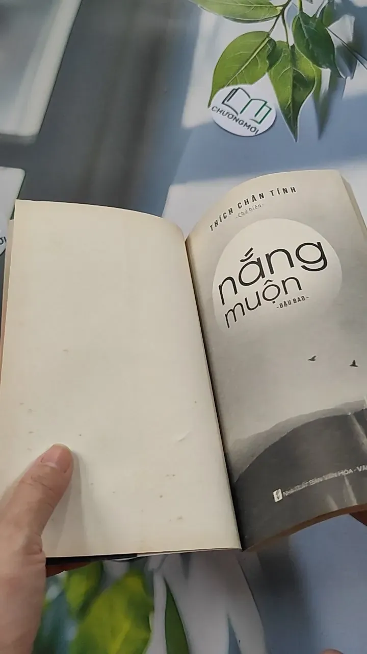 Nắng Muộn - Đậu Bảo 776107