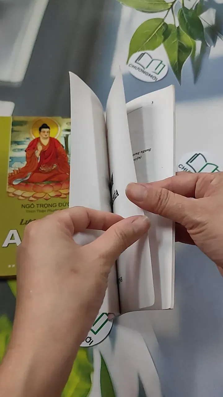 Lược Giải Kinh A Di Đà (Tặng Kinh A Di Đà Nghĩa) - Ngô Trọng Đức 776118