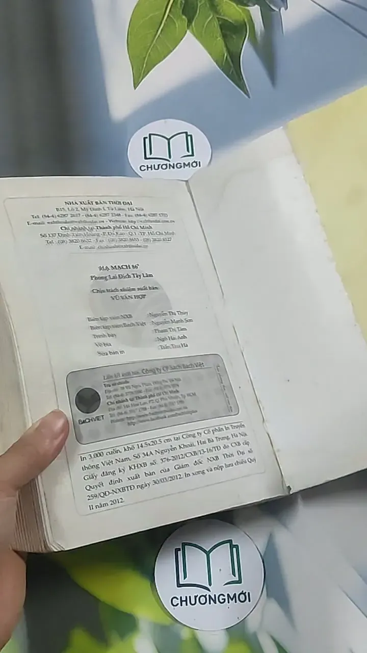 Hạ mạch 86 độ - Phong Lại Đích Tây Lâm 694976